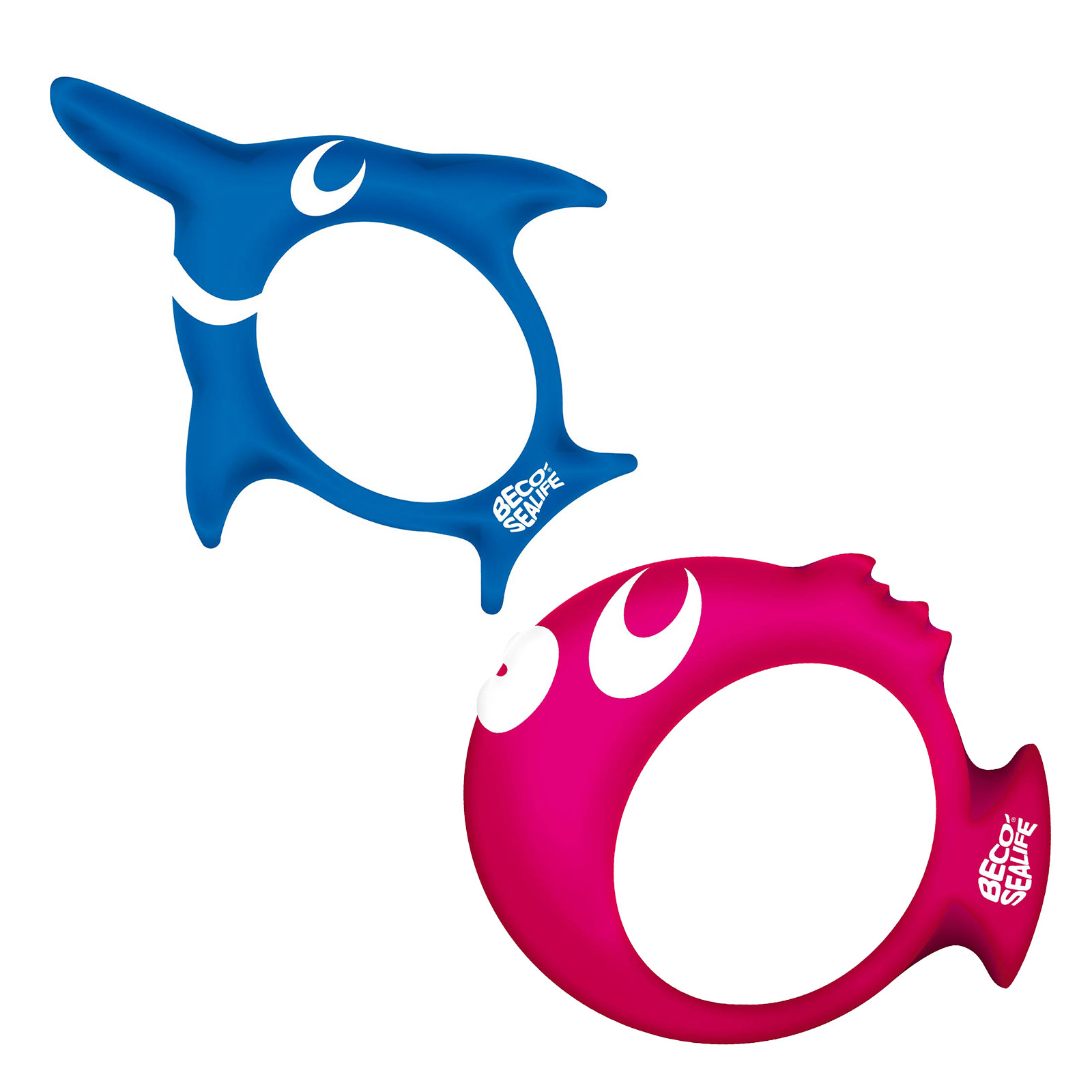 Gruppenbild Beco Sealife Tauchring Pinky Ray