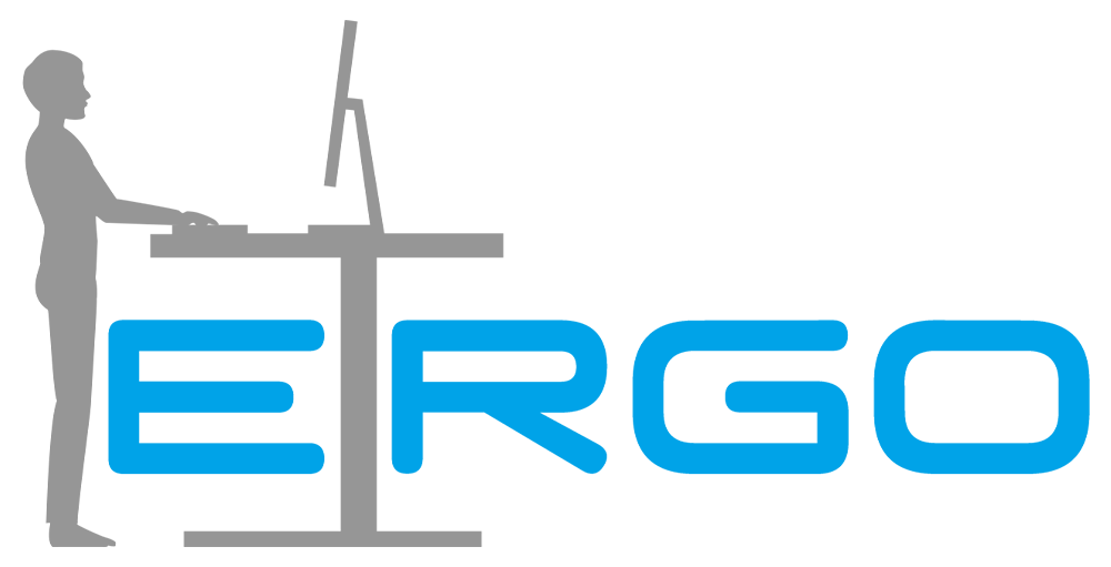Ergo by Ergobasis