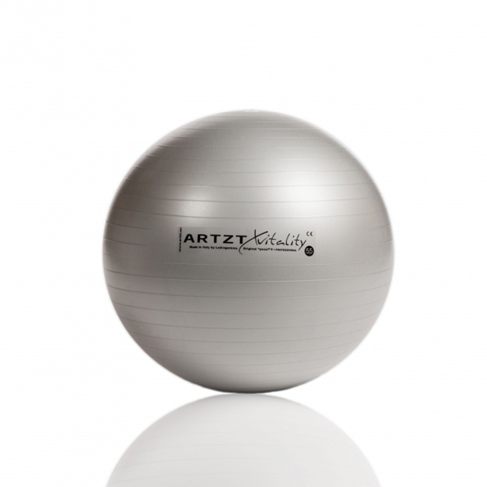 Artzt Vitality Fitness Ball Professional Ø 55 cm